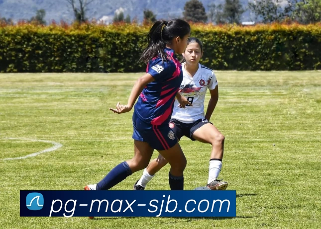 PG电子，PG电子官网，PG电子官方网站，PG电子入口，PG电子APP发展历程